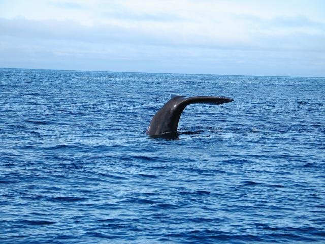 Urlaub in Norwegen 2006